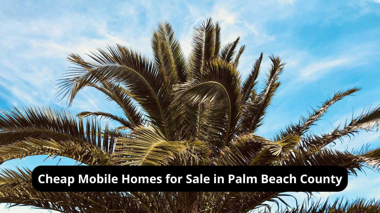 Cheap Mobile Homes for Sale in Palm Beach County